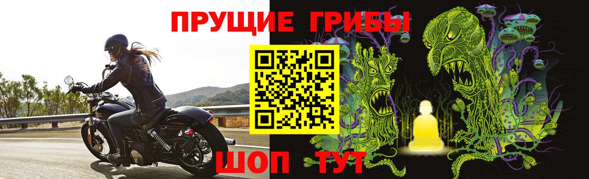 Реутов  Галлюциногенные грибы Cubensis  Вход с VPN 
